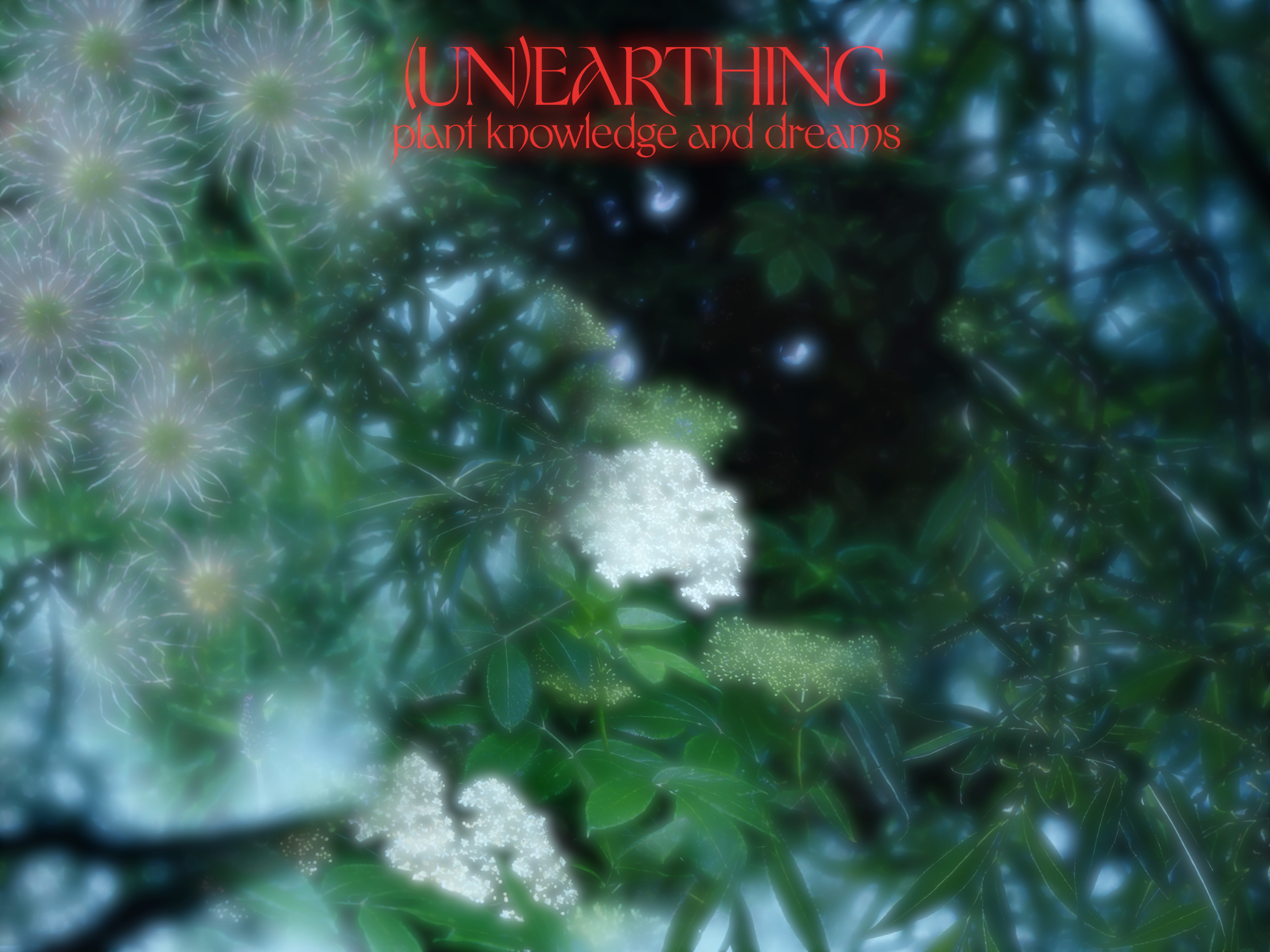 (un)earthing ~ plant knowledge and dreams
